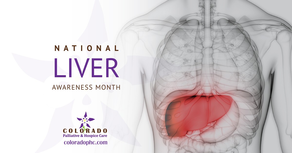 Liver Awareness Month What You Need To Know Colorado Palliative